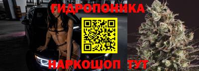 прущие крисы Новозыбков