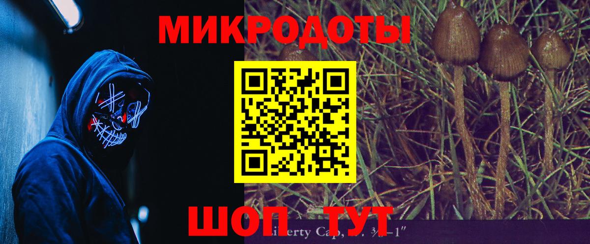 Галлюциногенные грибы Magic Shrooms Пугачёв